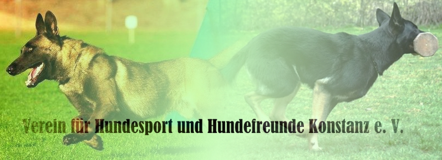 Hundesport Konstanz