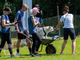 Sommer-Event 2026 beim VfH Konstanz
